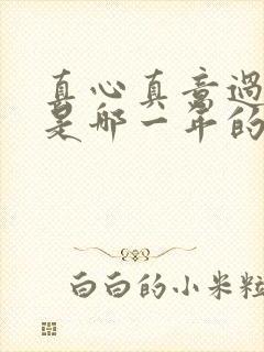 真心真意过一生是哪一年的歌