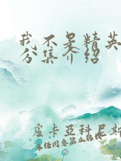 我不是精英剧情分集介绍