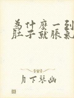 为什么一到下午肚子就胀气放屁