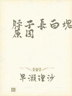 脖子长白块什么原因