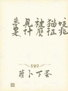 梦见被猫咬出血是什么征兆女性