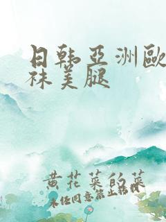 日韩亚洲欧美丝袜美腿