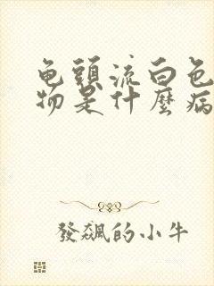 龟头流白色分泌物是什么病