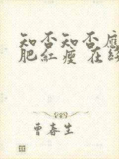 知否知否应是绿肥红瘦 在线免费