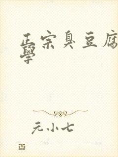 正宗臭豆腐哪里学