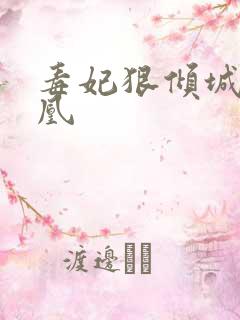 毒妃狠倾城 锦凰