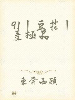 91丨豆花丨国产极品