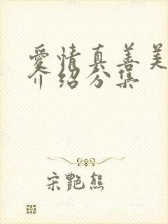 爱情真善美剧情介绍分集