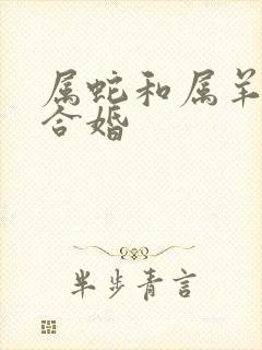 属蛇和属羊合不合婚