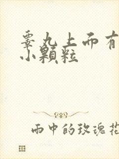 睾丸上面有白色小颗粒