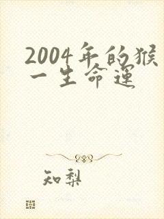 2004年的猴一生命运