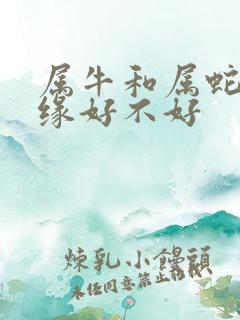 属牛和属蛇的姻缘好不好