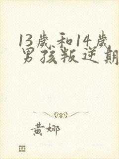 13岁和14岁男孩叛逆期怎么办