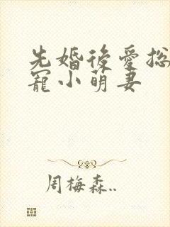 先婚后爱总裁蜜宠小萌妻