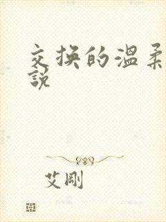 交换的温柔 小说