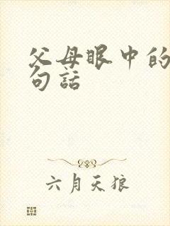 父母眼中的我一句话