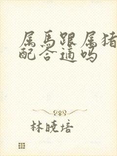 属马跟属猪的婚配合适吗