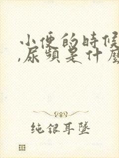 小便的时候会疼,尿频是什么原因