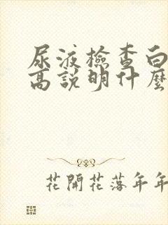 尿液检查白细胞高说明什么问题