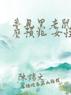 梦见黑老鼠是什么预兆 女性解梦