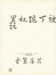 男奴跪下被女王玩