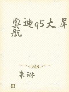 奥迪q5大屏导航