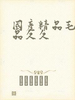 国产精品毛片极品久久