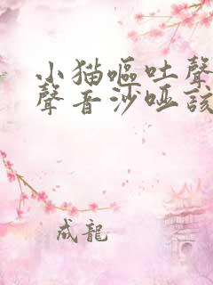 小猫呕吐声音变声音沙哑该怎么办