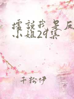 据说我是反派大小姐29集