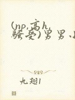 (np,高h,骚受)男男小说
