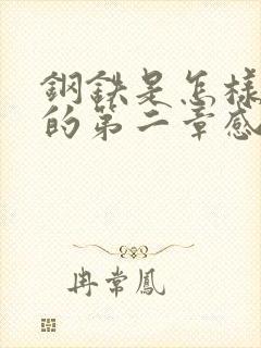 钢铁是怎样炼成的第二章感悟50字左右