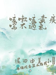 咳嗽咳黄痰气短喘不过气