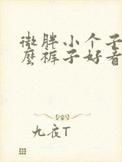 微胖小个子穿什么裤子好看