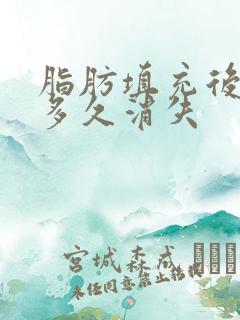 脂肪填充后硬块多久消失