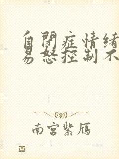 自闭症情绪暴躁易怒控制不了是什么病