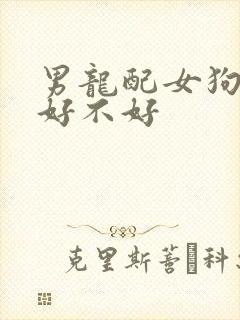 男龙配女狗婚配好不好