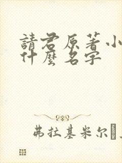 请君原著小说叫什么名字