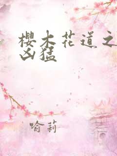 樱木花道之重生凶猛