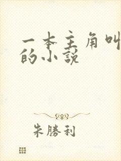 一本主角叫李凡的小说