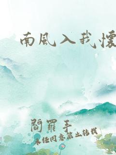 南风入我怀小说