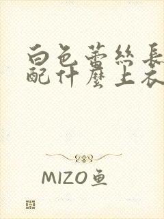 白色蕾丝长裙搭配什么上衣好看