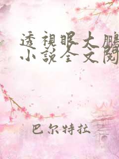 透视眼大鹏叶轩小说全文阅读