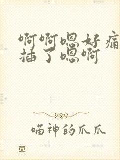 啊啊嗯好痛不要插了嗯啊