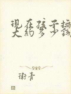 现在孩子抚养费大约多少钱一个月