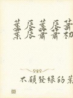 叶辰叶辰萧初然叶辰萧萧初然