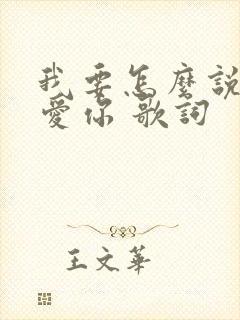 我要怎么说我不爱你 歌词