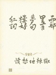 红楼梦里面的好词好句有哪些摘抄