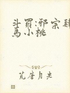 斗罗:邪宗肆虐马小桃