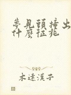 梦见头撞出血是什么征兆