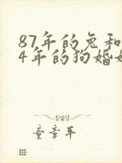 87年的兔和94年的狗婚姻